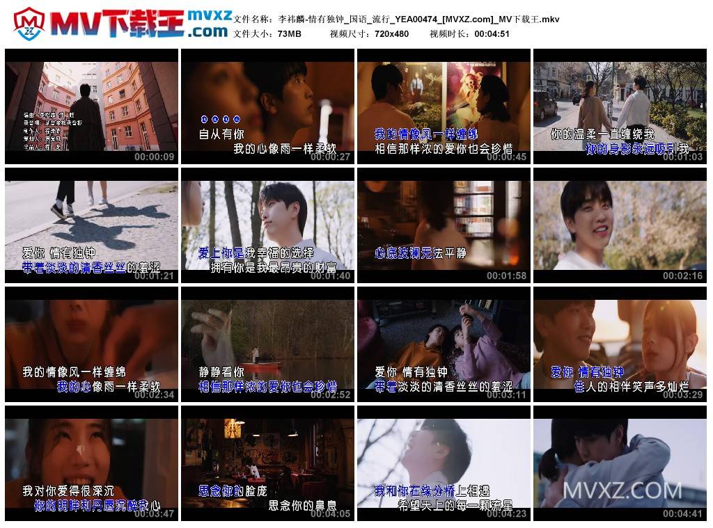 李祎麟-情有独钟_国语_流行_YEA00474